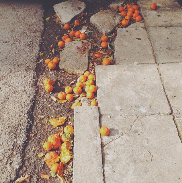 Screen Shot 2015-12-05 at 1.15.48 PM