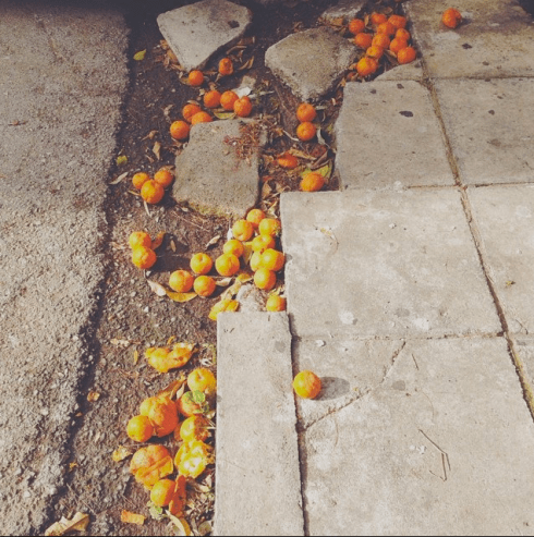 Screen Shot 2015-12-05 at 1.15.48 PM