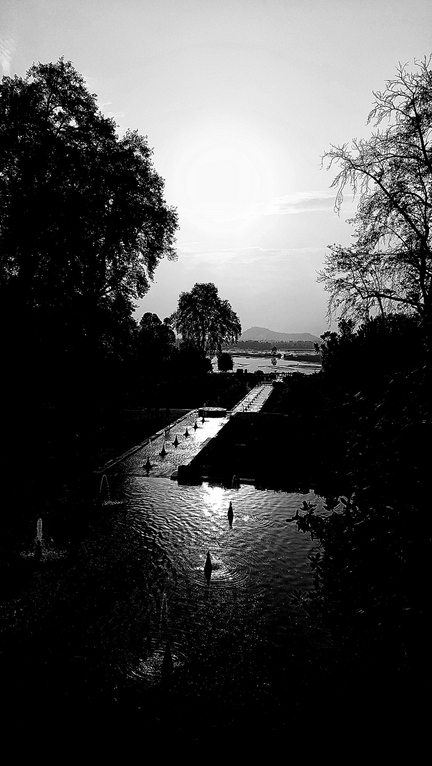 Screen Shot 2017-10-23 at 12.21.46 PM