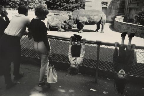 9 06-winogrand12-superJumbo
