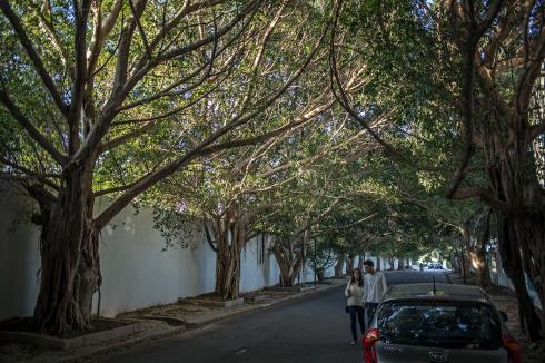 11162035_10155724184205001_1405414367518497788_o