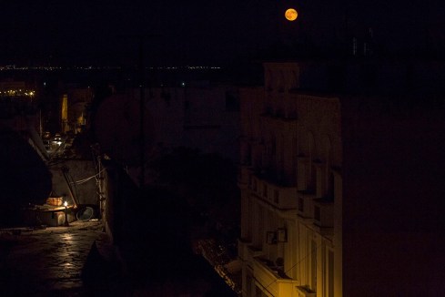 11942239_10156212664250001_551882499486835523_o