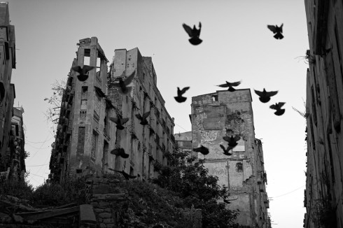 73404041_10162931096545001_7830632434751242240_n