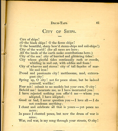 Screen Shot 2019-11-10 at 2.40.10 AM